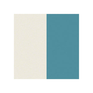 Décor Blanc Gris WY/Peinture Lagon 4CZ6/Peinture Blanc-Gris Givré ZW