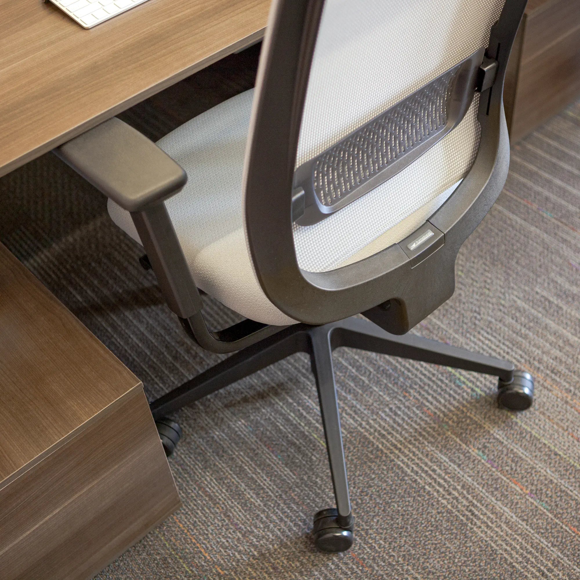 Sans têtière / Air Mesh Coco AR12/Atlantic 14