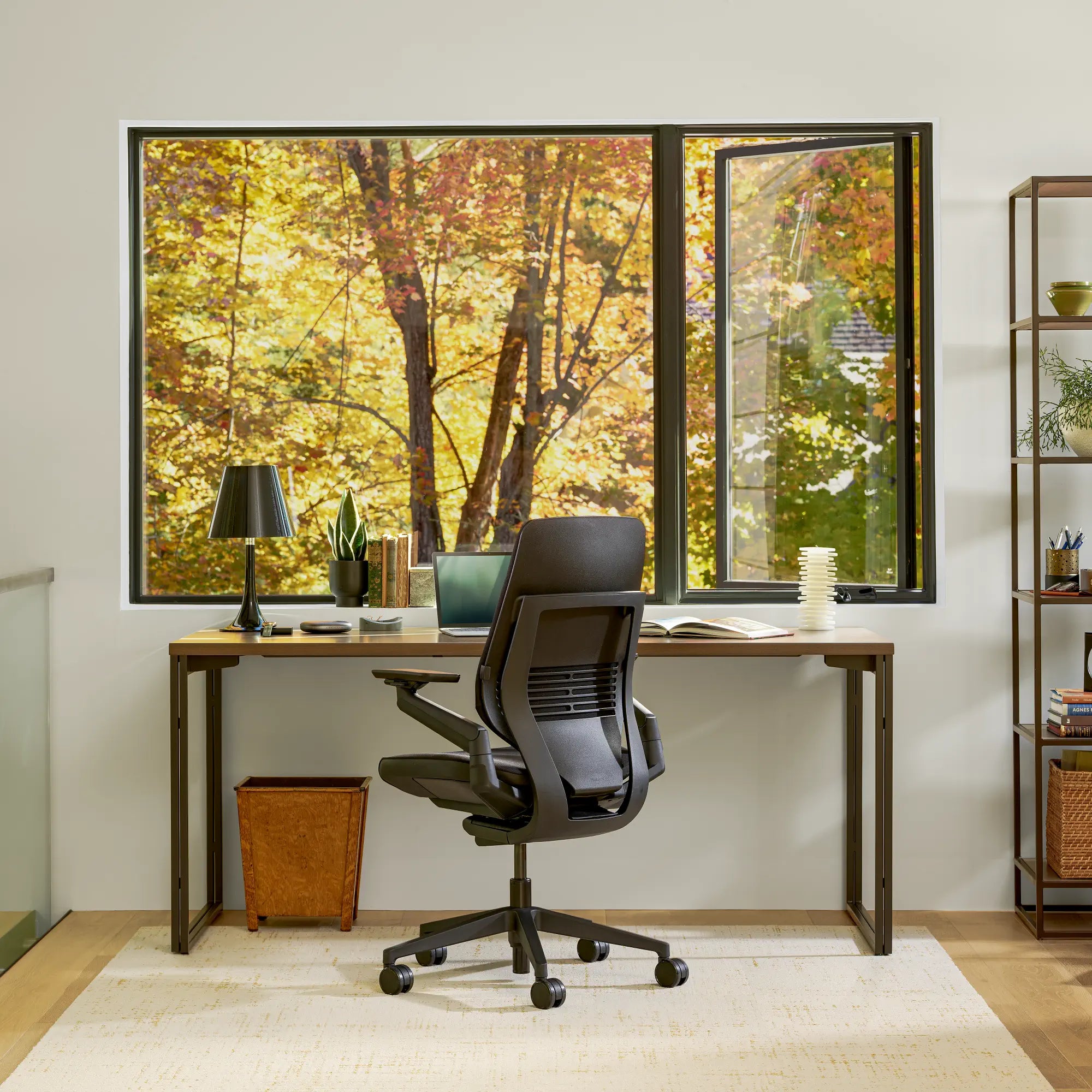 Sans têtière / Era Onyx CSE14