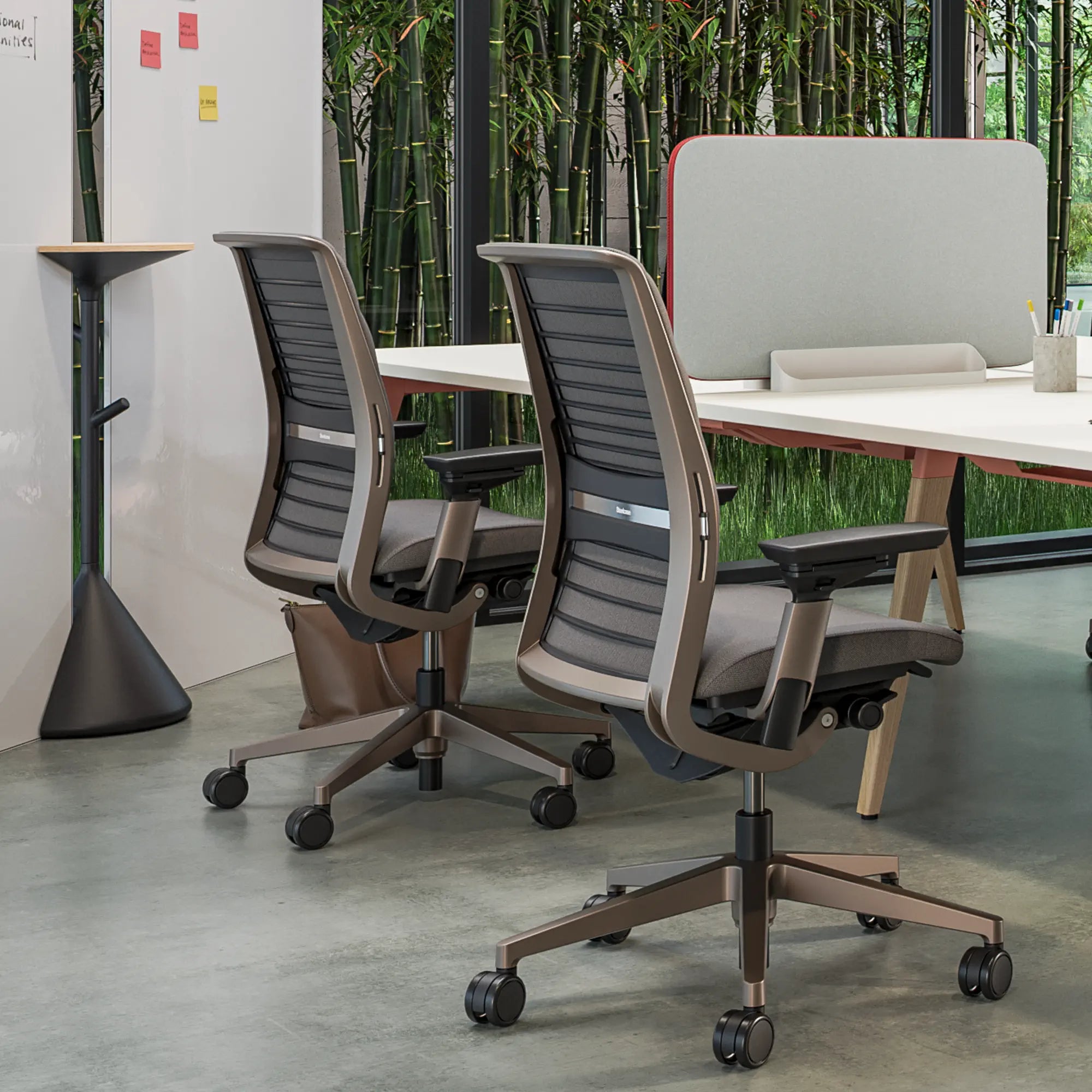 Sans têtière / Era Truffe CSE02