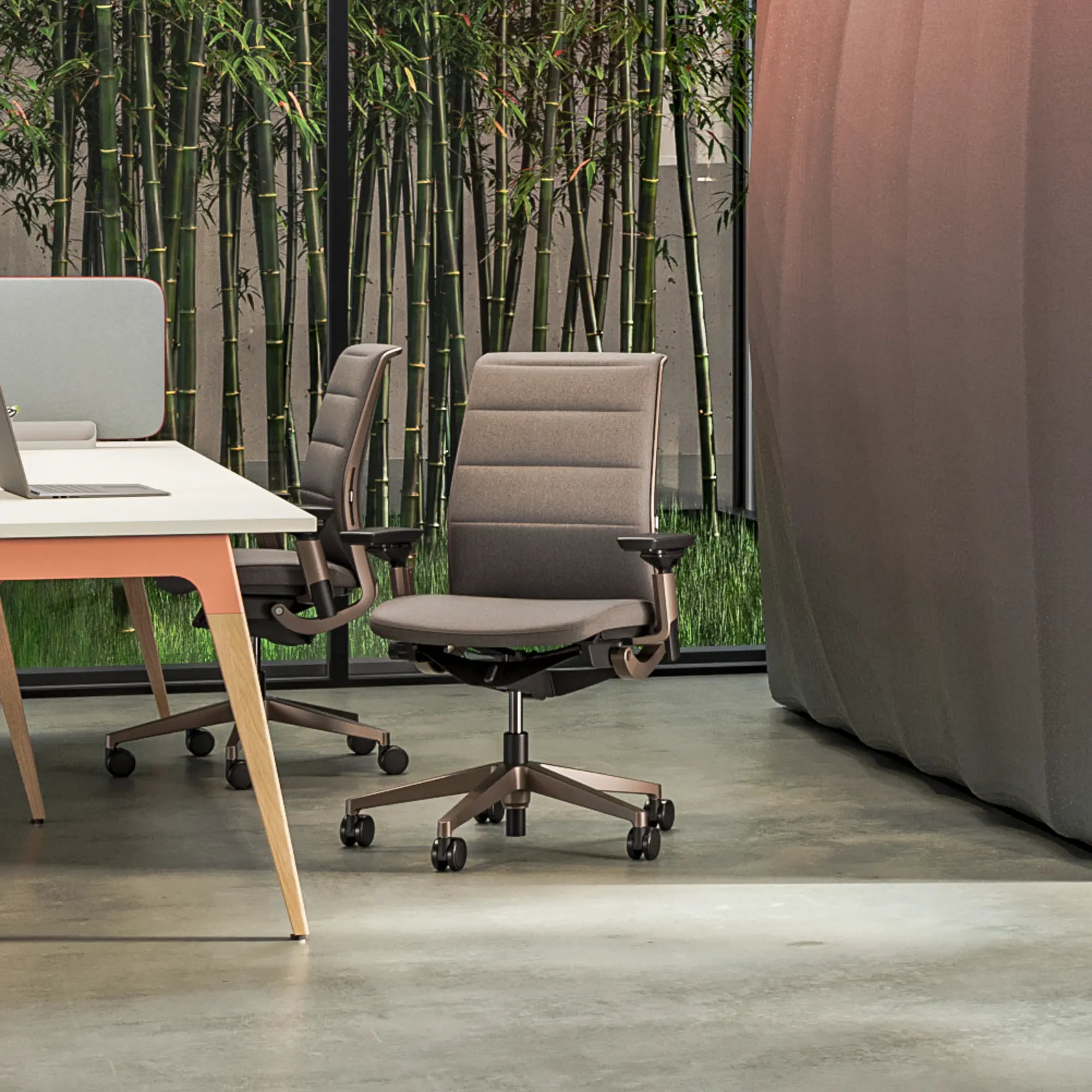 Sans têtière / Era Truffe CSE02