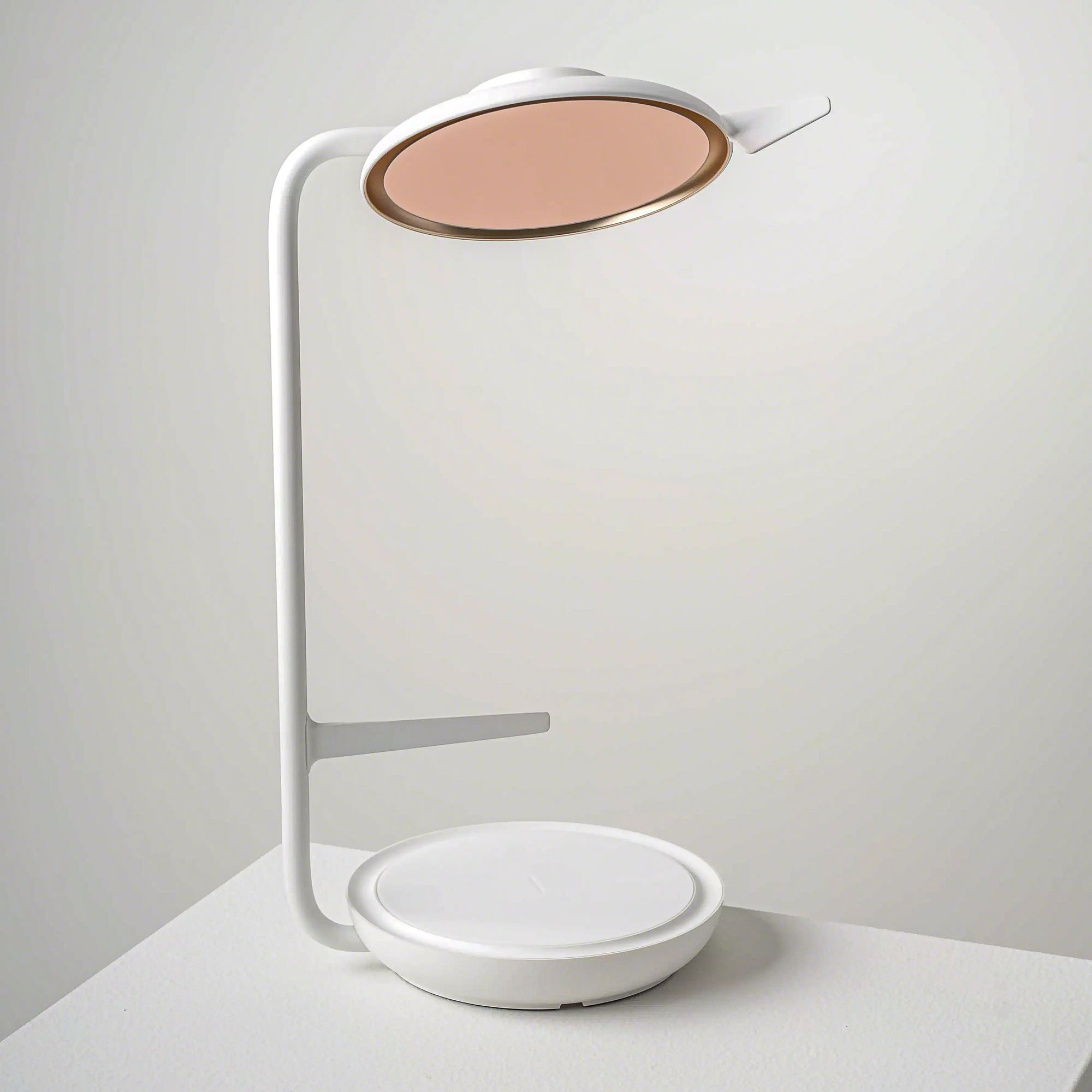 Blanc-Gris Givré ZW01