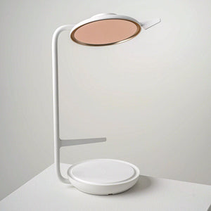 Blanc-Gris Givré ZW01