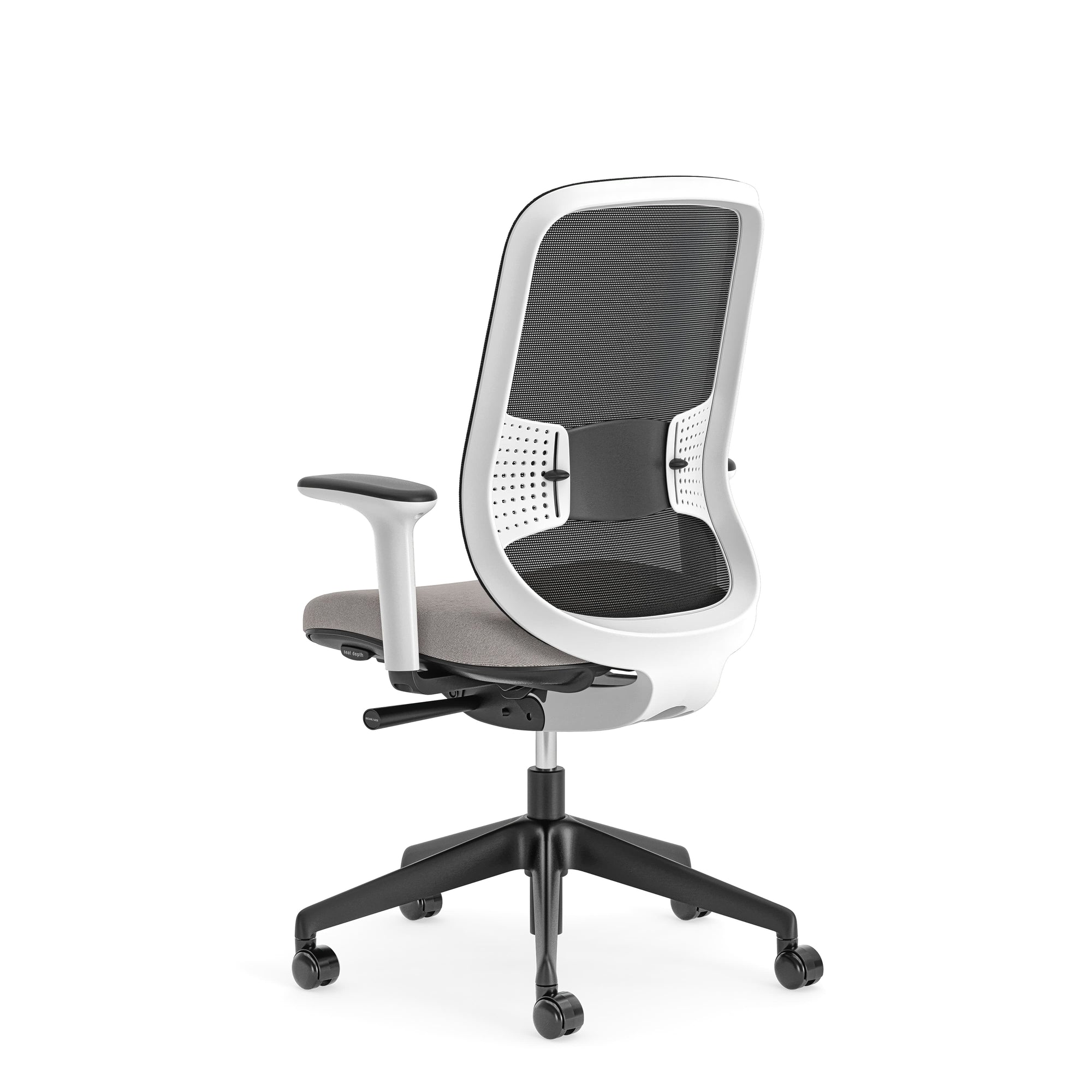 Sans têtière / Maille Noire/Era Truffe CSE02