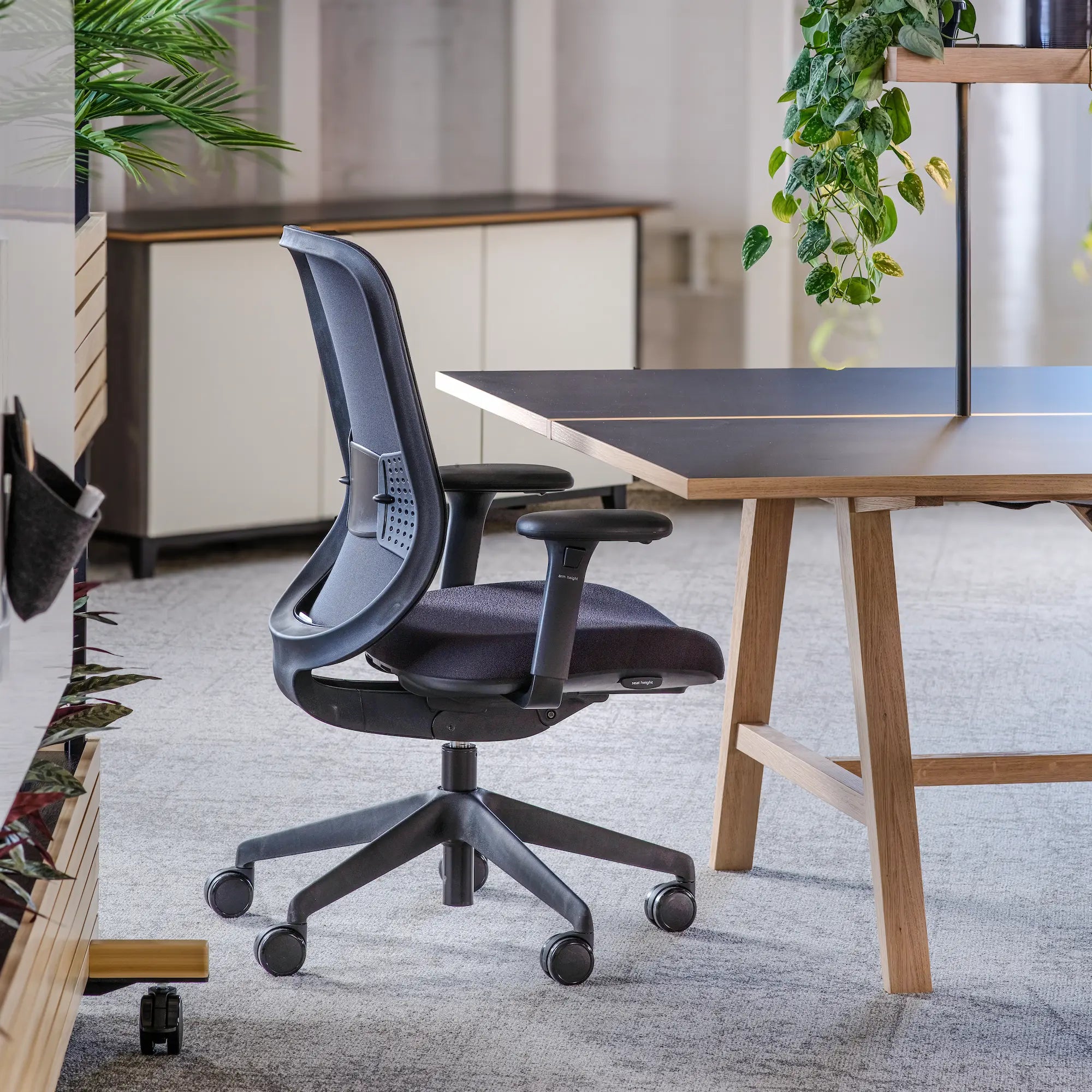 Sans têtière / Maille Noire/Era Onyx CSE14