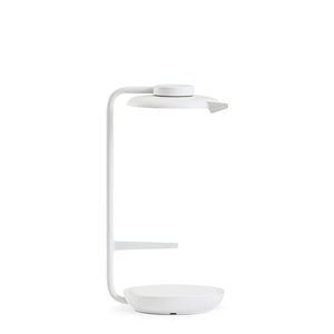 Blanc-Gris Givré ZW01