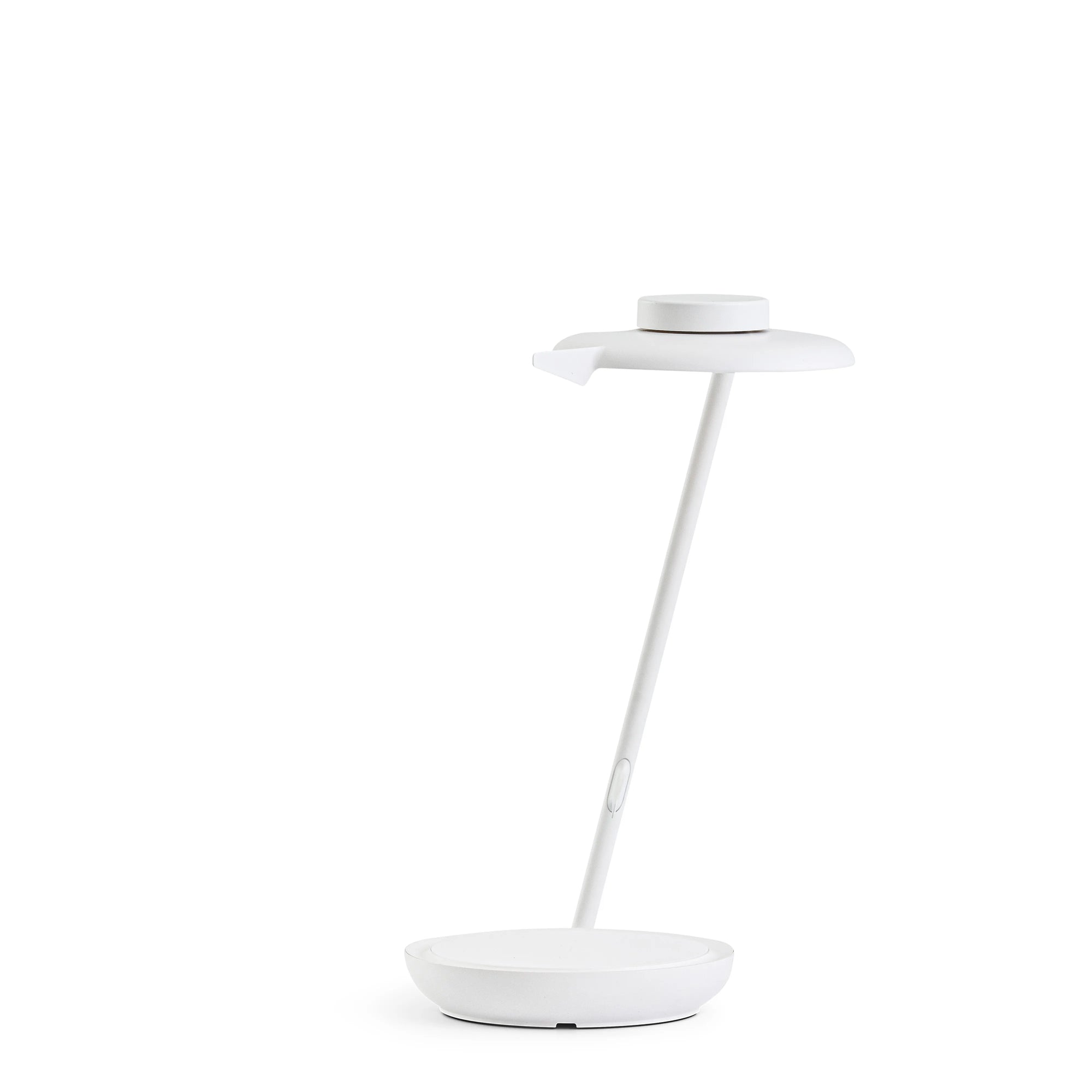 Blanc-Gris Givré ZW01