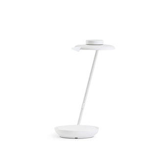 Blanc-Gris Givré ZW01