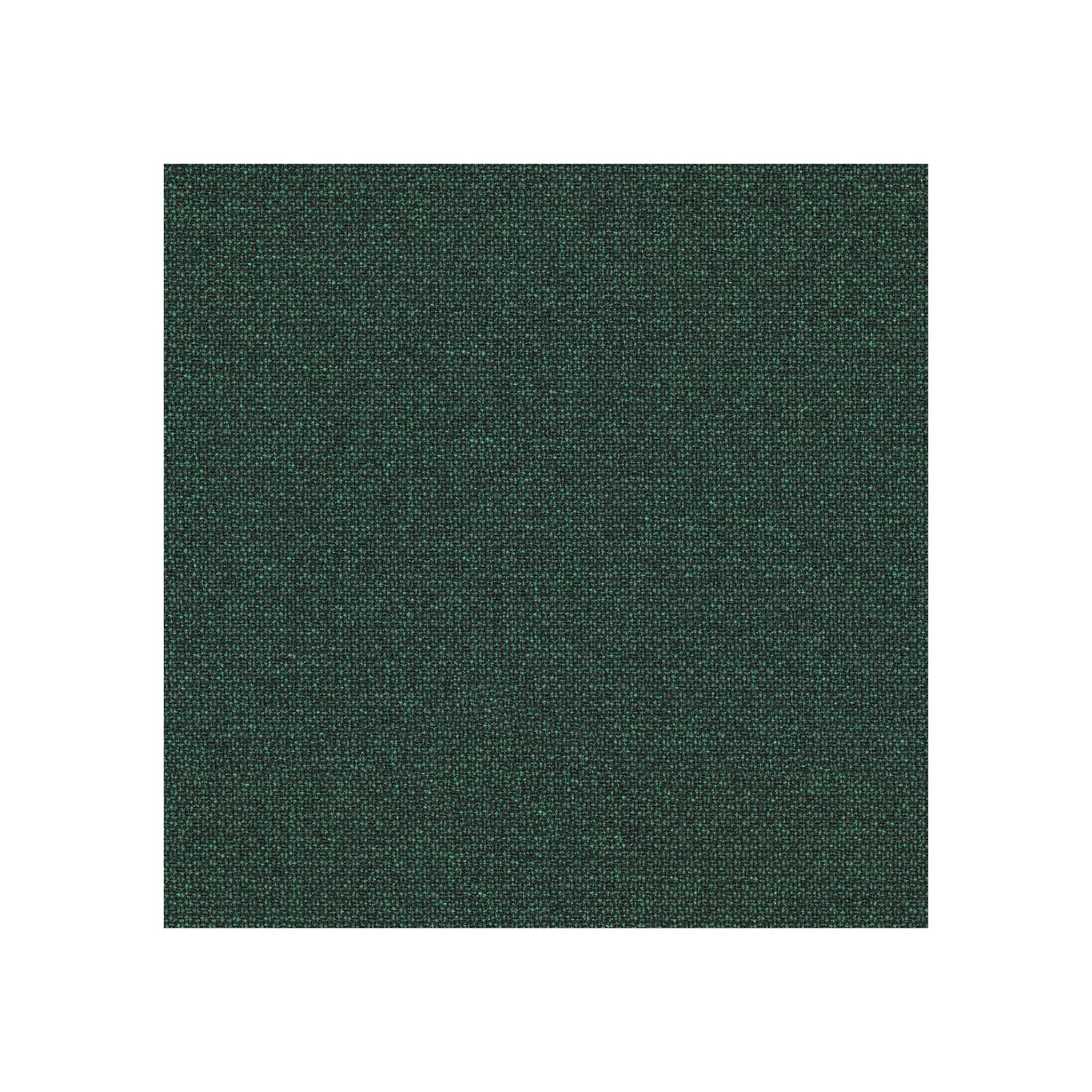 Avec têtière / Renewed Loop Forêt Dense LR13