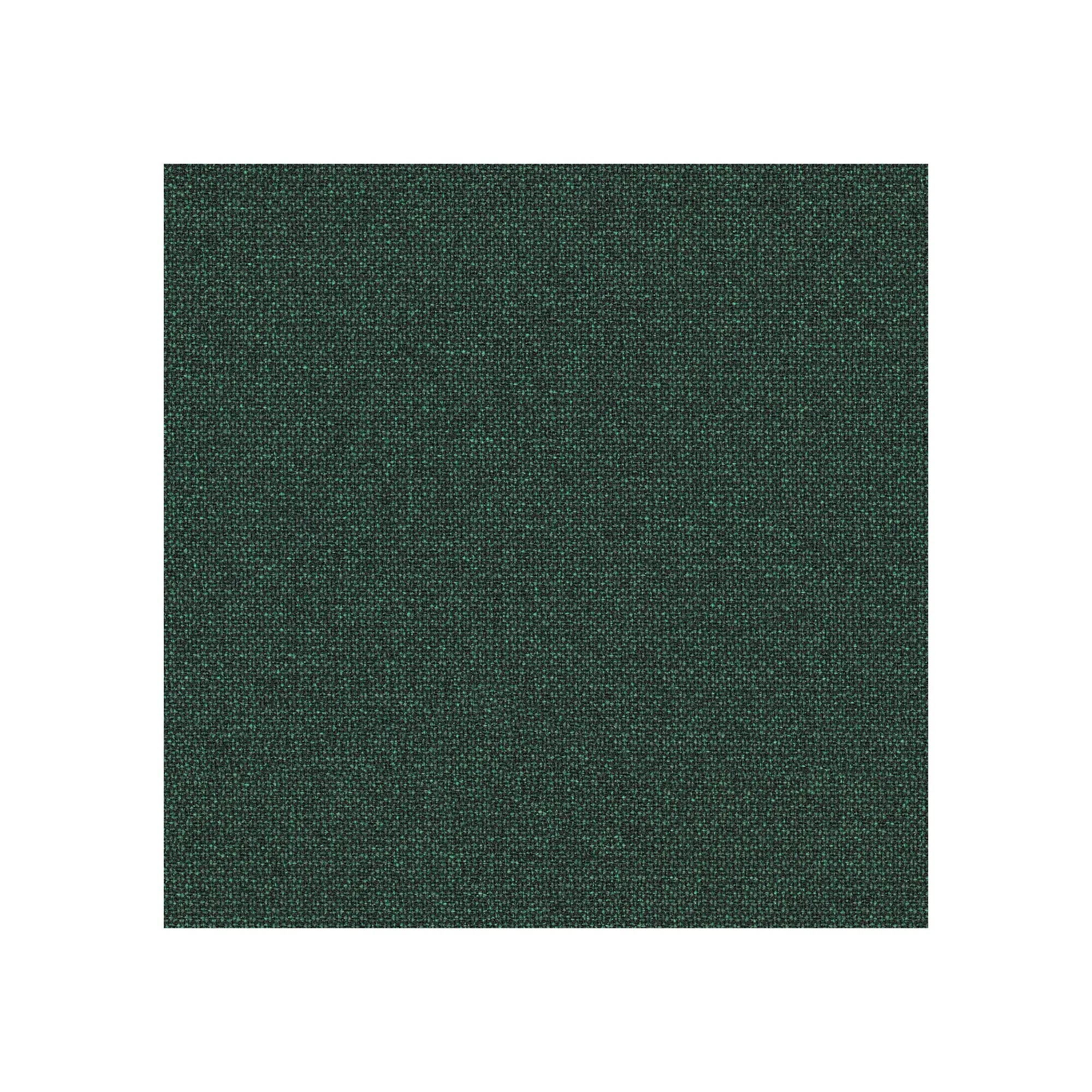 Sans têtière / Renewed Loop Forêt Dense LR13