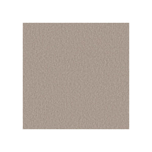 Sans têtière / Era Truffe CSE02