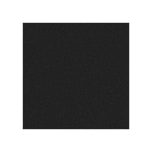 Sans têtière / Era Onyx CSE14