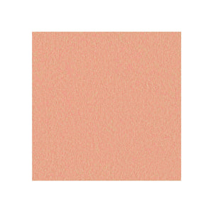 Sans têtière / Era Pêche CSE25