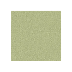 Sans têtière / Era Vert Amande CSE34