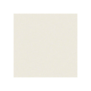 Décor Blanc Gris WY/Peinture Blanc-gris Givré ZW