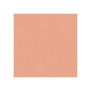 Avec têtière / Era Pêche CSE25