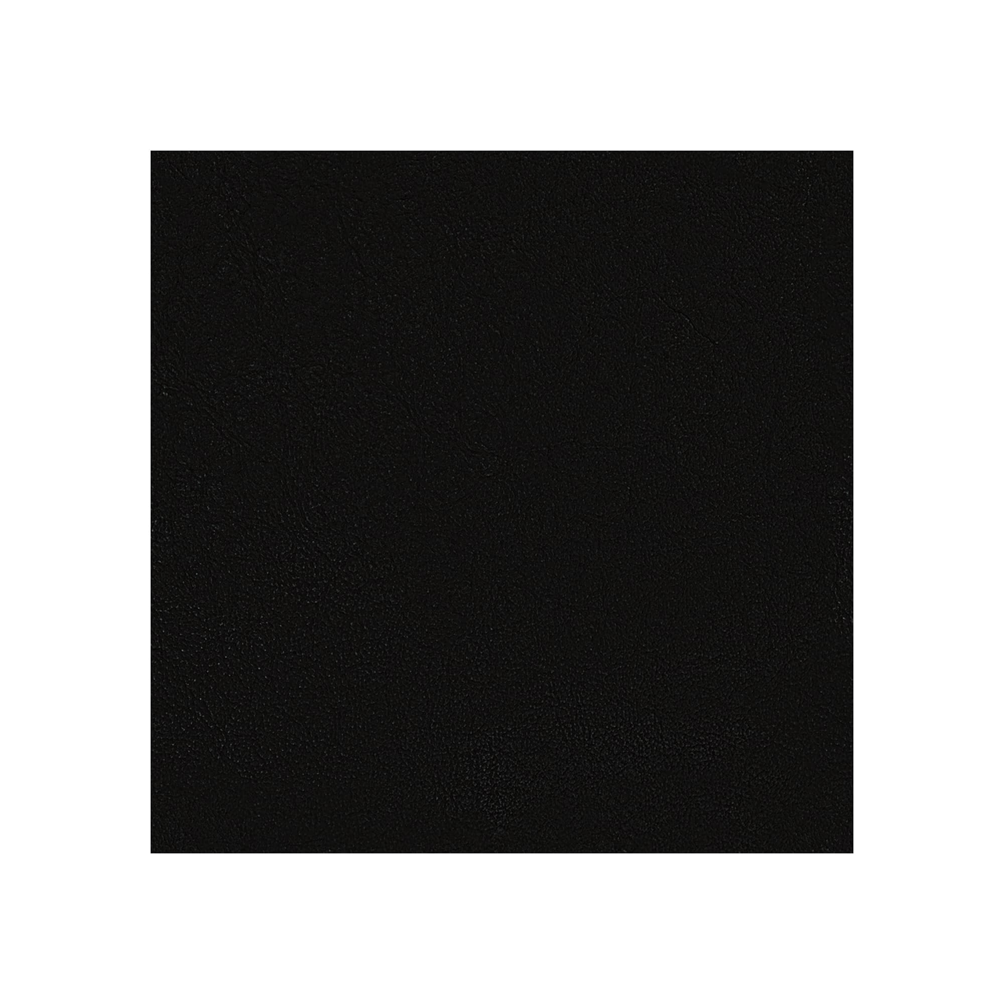 Sans têtière / Europe Leather Noir 0273