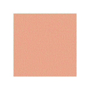 Sans têtière / Era Pêche CSE25