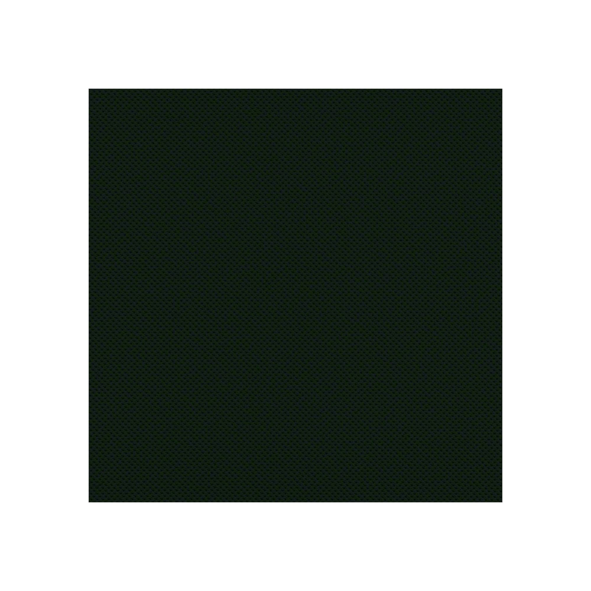 Sans têtière / Atlantic Noir AT04