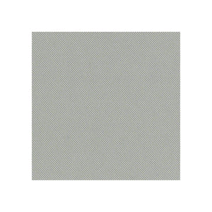 Sans têtière / Atlantic Nickel AT17